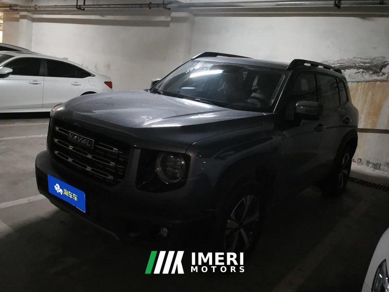 Haval Great Wall Big Dog Great Wall Dog 1.5T Two-wheel drive Labrador version