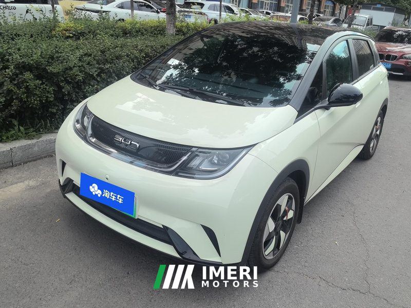 BYD Dolphin 420km Free Version