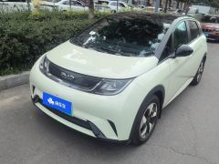 BYD Dolphin 420km Free Version - ფოტო 1