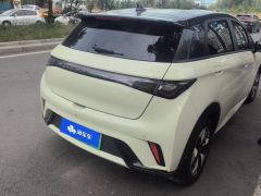 BYD Dolphin 420km Free Version - ფოტო 2