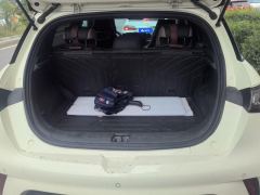 BYD Dolphin 420km Free Version - ფოტო 7