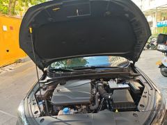 Changan Eado PLUS Blue Whale NE 1.4T GDI Dual-Clutch Premium Edition - photo 16