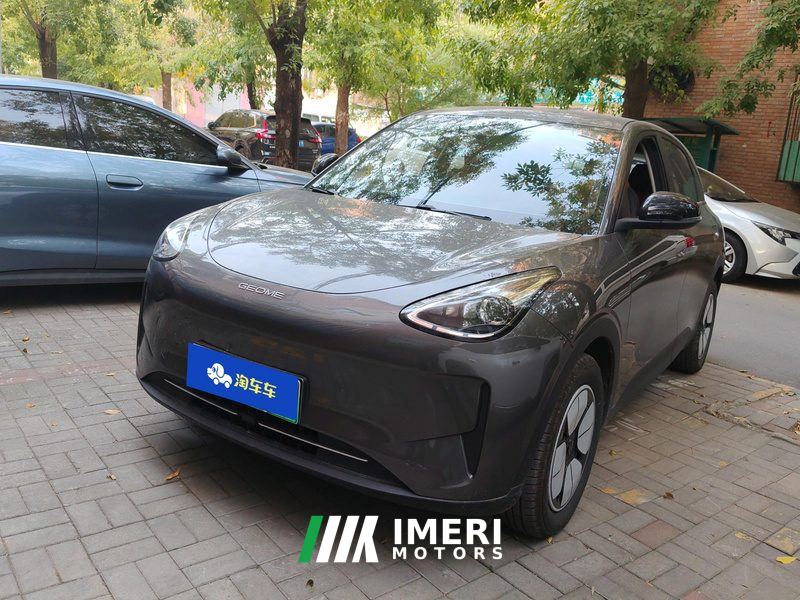 Geely Galaxy Star Wish 310km Youth Edition - car from China