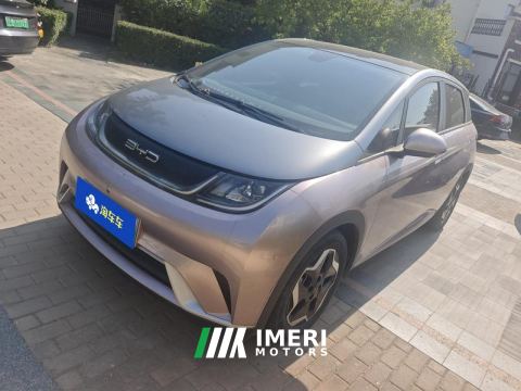 2021 BYD Dolphin 405km Stylish Edition - car from China
