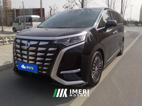 2024 Denza D9 DM-i 1.5T 190km AWD Version 7 - car from China