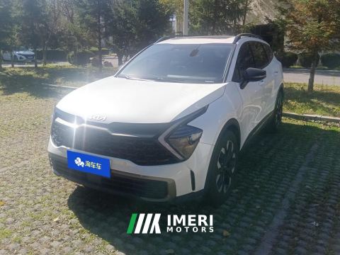 2023 Kia Lion Platinum Tuojie 2.0T 2WDPremium Edition