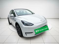Tesla Model Y 688km Long Range AWD - ფოტო 3