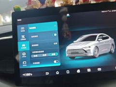 BYD Qin PLUS DM-i 55km Flagship - photo 20