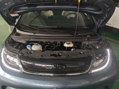 BYD Dolphin 420km Free Version - ფოტო 16