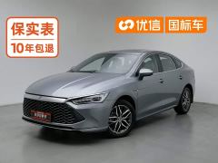 BYD Qin Plus Champion Edition DM-i 120KM Exceed - photo 1