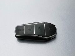 BYD Qin Plus Champion Edition DM-i 120KM Exceed - photo 19