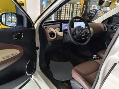 Wuling Binguo 333km Joy Edition - фото 15