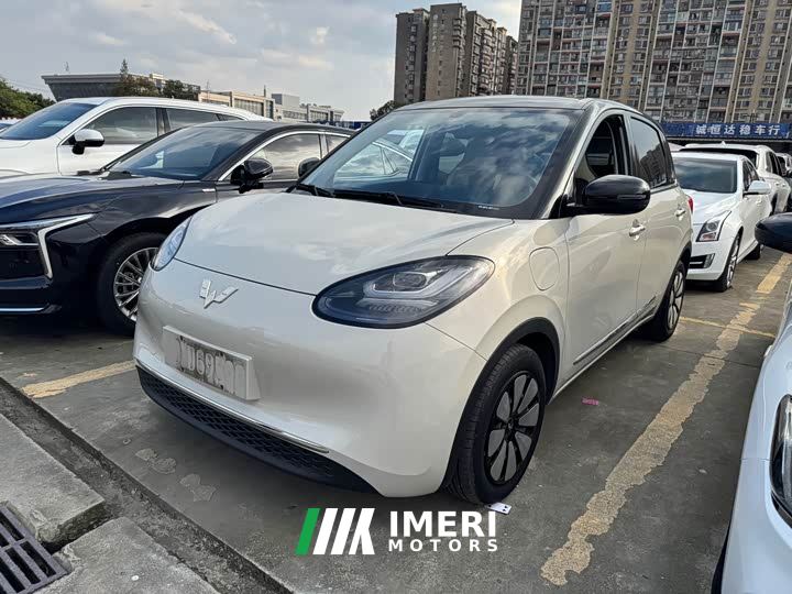 Wuling Binguo 333km Joy Edition - car from China