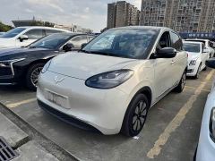 Wuling Binguo 333km Joy Edition - photo 1