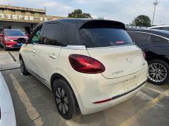 Wuling Binguo 333km Joy Edition - photo 13