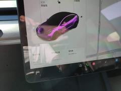 Tesla Model 3 Standard Range RWD Upgrade 3D6 - ფოტო 11