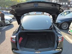 Tesla Model 3 Standard Range RWD Upgrade 3D6 - ფოტო 18