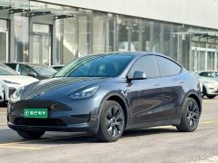 Tesla Model Y Rear-Wheel Drive - ფოტო 1