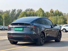Tesla Model Y Rear-Wheel Drive - ფოტო 7