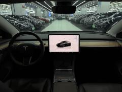 Tesla Model 3 Rear-Wheel Drive - ფოტო 9