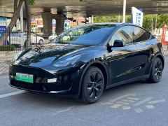 Tesla Model Y Rear-Wheel Drive - фото 1