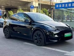 Tesla Model Y Rear-Wheel Drive - фото 3