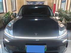 Tesla Model Y Rear-Wheel Drive - photo 2