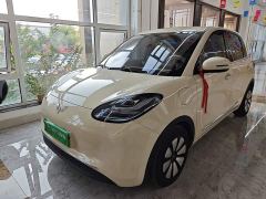 Wuling Binguo 333km Lingxi Connected Edition - photo 1