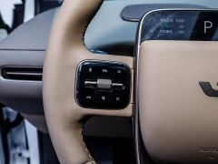 Li Auto i6 Two-Wheel Drive Standard - ფოტო 13
