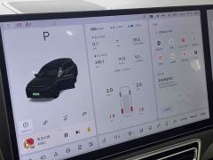 Li Auto L8 Max - photo 14