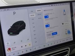 Li Auto L8 Max - photo 15
