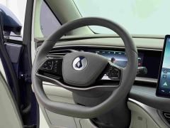 Denza D9 DM-i 970 AWD Premium Edition - ფოტო 13