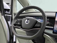 Denza D9 DM-i 970 AWD Flagship - фото 19