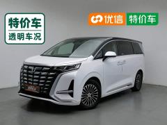 Denza D9 DM-i 970 AWD Premium Edition - photo 1