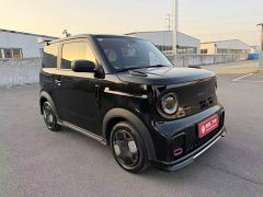 Geely Panda 210km Panda Kart - ფოტო 3