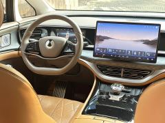 Denza D9 DM-i 1040 Premium - ფოტო 9