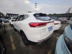 Haval H6 Third Generation 1.5T Automatic Two-Wheel Drive Pro - ფოტო 14