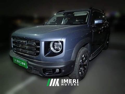 2022 Great Wall Dachshund Facelift 2.0T DCT Four-wheel Drive Xiaotian Dog Edition - ავტომობილი ჩინეთიდან