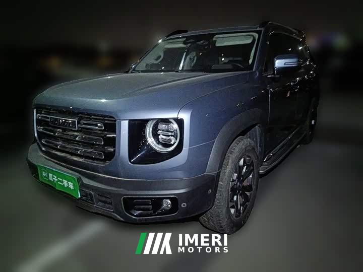 Great Wall Dachshund Facelift 2.0T DCT Four-wheel Drive Xiaotian Dog Edition