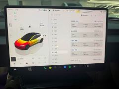 Tesla Model 3 Rear-Wheel Drive - ფოტო 5