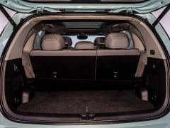 Zeekr MIX Smart Driving Edition - photo 6