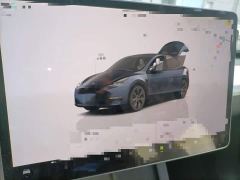 Tesla Model Y Rear-Wheel Drive - photo 14
