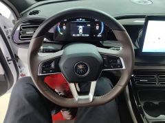 BYD Qin PLUS Glory Edition DM-i 55KM Leading - ფოტო 10