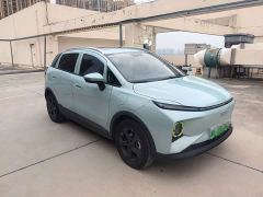 Geometry E Firefly 401KM Linglong Tiger 5-Seater - фото 1