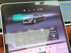 Mercedes-Benz Maybach S-Class S 480 4MATIC - photo 18