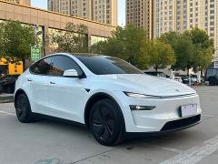Tesla Model Y Rear-Wheel Drive - ფოტო 3