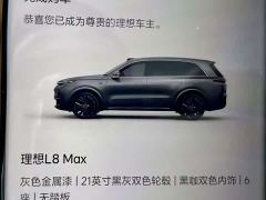 Li Auto L8 Max - ფოტო 19