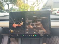 Tesla Model 3 556km Rear-Wheel Drive Edition - ფოტო 20
