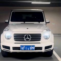 Mercedes-Benz G Class G-Class G 350 - ფოტო 3