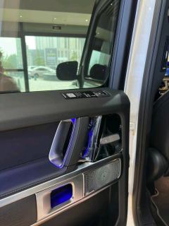 Mercedes-Benz G Class G-Class G 350 - ფოტო 7